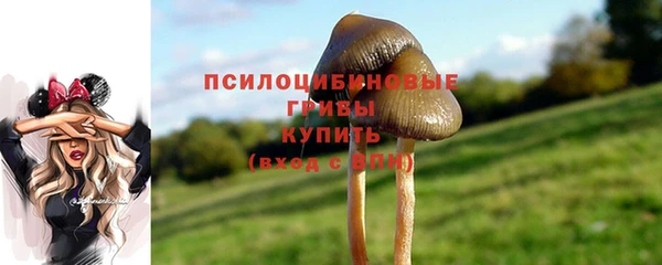 твердый Арсеньев
