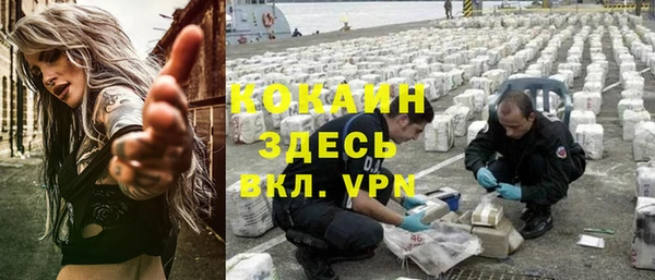 твердый Арсеньев