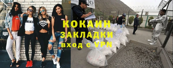 твердый Арсеньев
