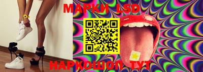 стафф Аргун