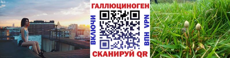 ссылка на мегу ССЫЛКА  Копейск  Псилоцибиновые грибы MAGIC MUSHROOMS  где можно купить  