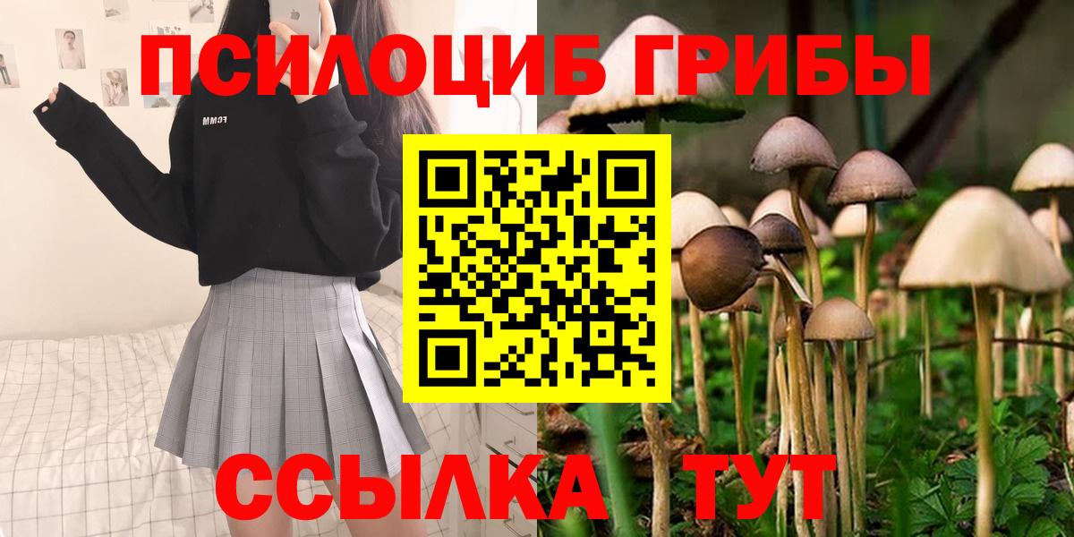 Псилоцибиновые грибы MAGIC MUSHROOMS Копейск