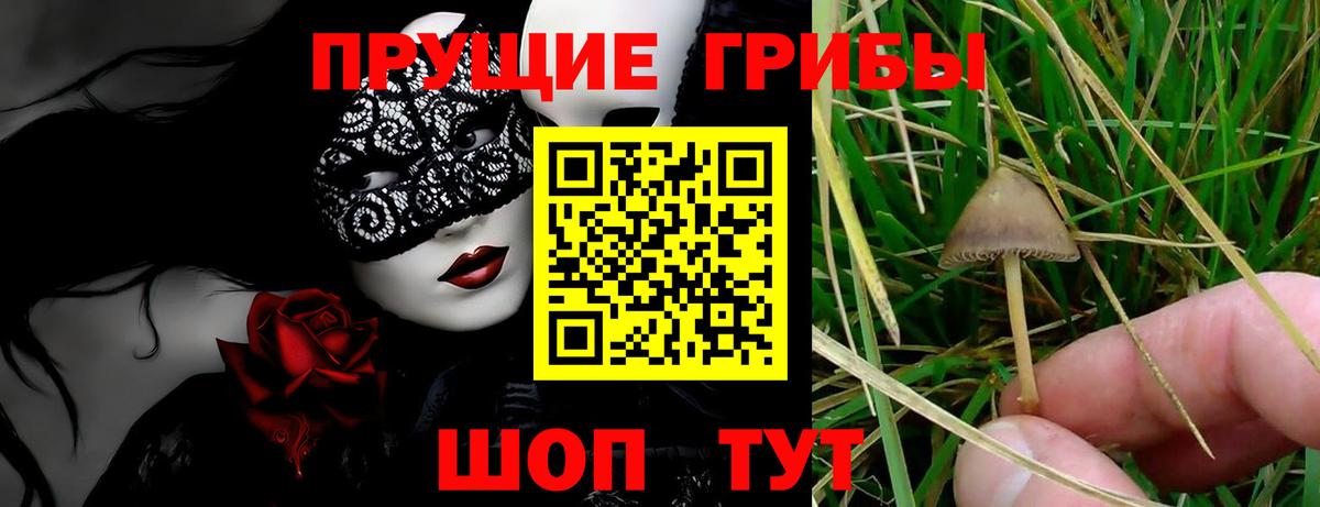 закладки  Галлюциногенные грибы Psilocybine cubensis  Вход с VPN  Копейск 